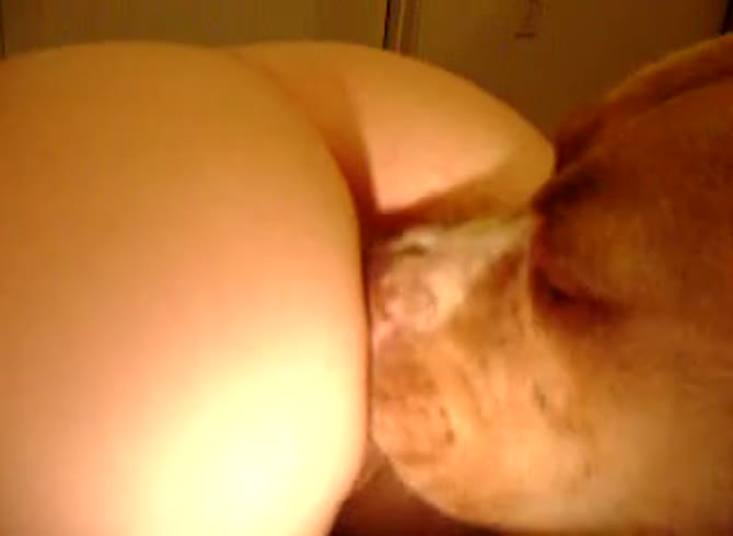 Video :Dog licks the pussy of slut before inserting big dog dick